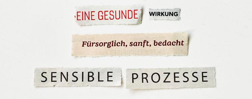 Kreative Materialien im Workshop